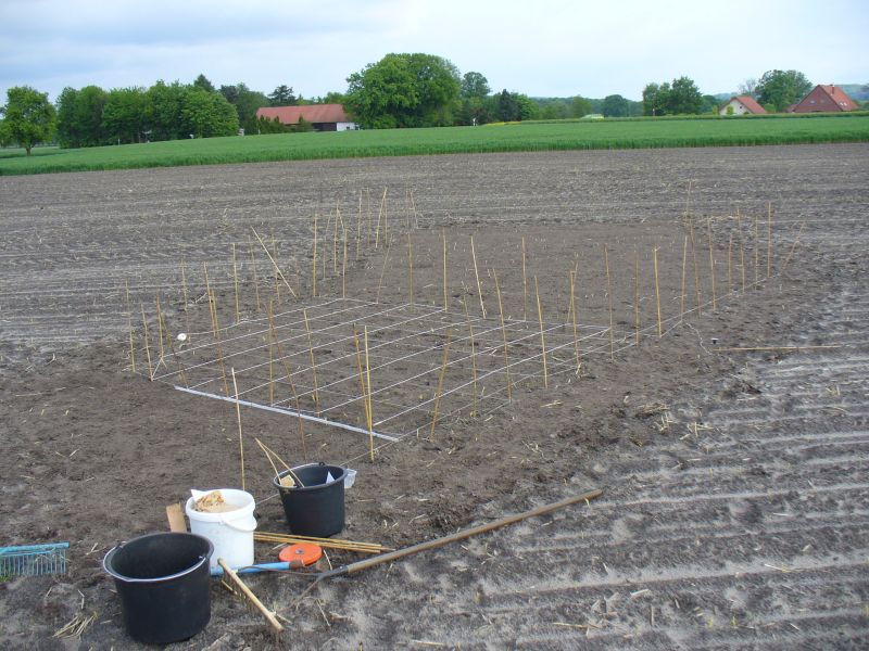 Maislabyrinth Venne 2014 - Fotogalerie - 6 von 100