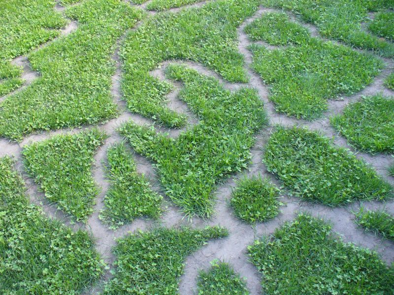 Maislabyrinth Venne 2014 - Fotogalerie - 93 von 100